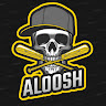 ALOOSH GAMER