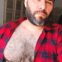 Latin Bear