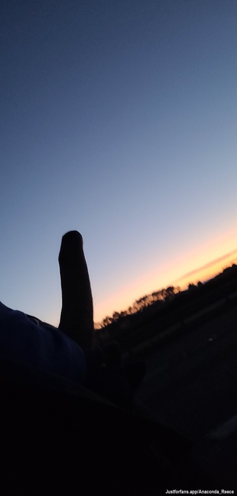 Rise and shine sexy! My pole was out at sunrise and you could've had your lips wrapped around! 🧡🥵