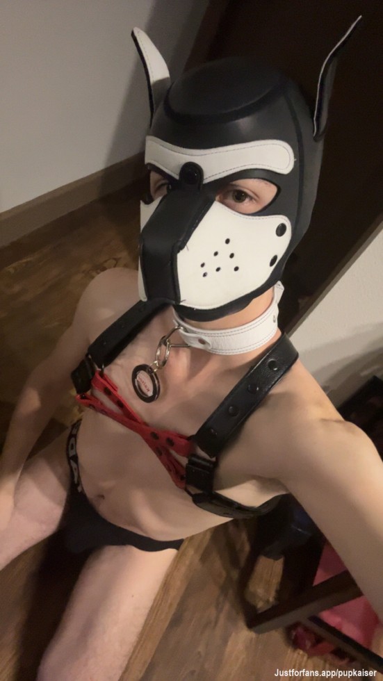 Waiting for someone to give me their bone 🤤😜🦴