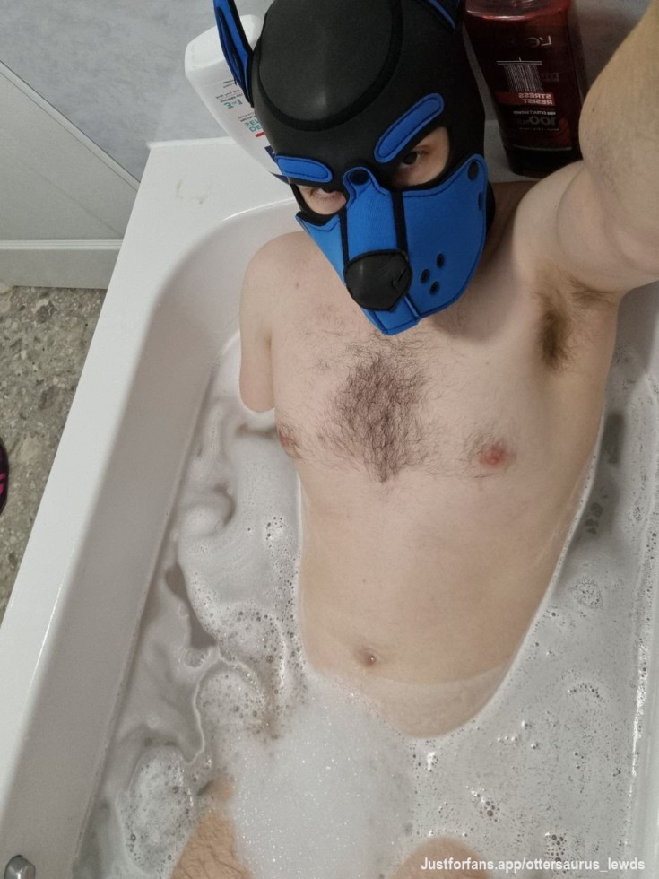 Puppy in the bath