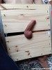 CBT
