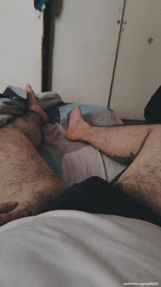 Quien me hace compañía?