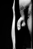 black,white and curves