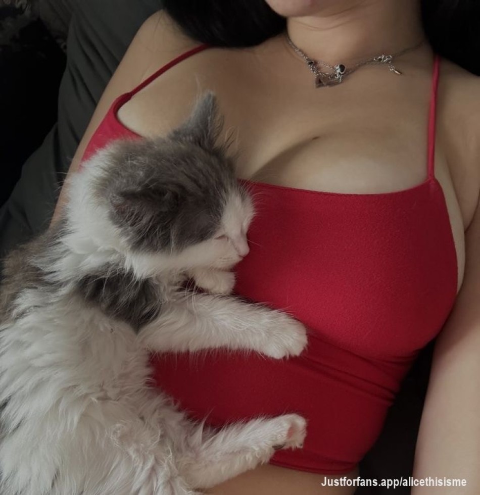 🐈 🐾