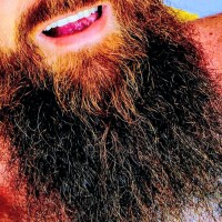 Barba