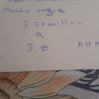 Ch96