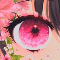 Cherry Blossom