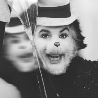 CAT IN THE HAT