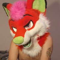 Nibbles fox