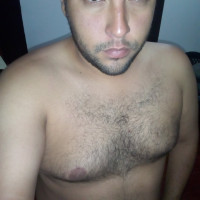 BearsexyLatam