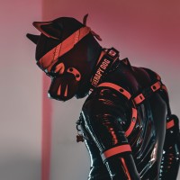 Zakos